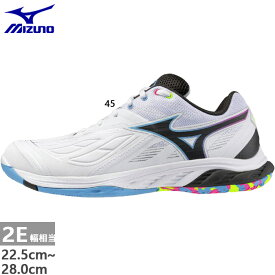 【10月上旬入荷予約商品】 2E幅 フィットタイプ ミズノ メンズ レディース ウエーブファング 2 FIT バドミントンシューズ ホワイト 白 送料無料 Mizuno 71GA2312