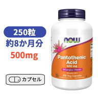 パントテン酸 500mg 250カプセル ナウフーズ ビタミン サプリ サプリメン【Now Foods Pantothenic Acid 5…