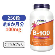 ビタミン B-100 250粒 ナウフーズ ビタミンB群 ベースサプリ　サプリメント びたみん　B【Now Foods B-10…