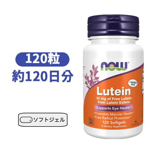 �i�E�t�[�Y ���e�C�� 10mg 1200�� �\�t�g�W�F�� �т��݂� �r�^�~�� ���N�T�v�� �T�v�������g �� ���N �u���[���C�g �yNow Foods Lutein 10mg 120softgels�z