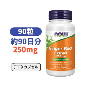 �i�E�t�[�Y �W���W���[���[�g �� �G�L�X 250mg ���I 90�� �yNow Foods Ginger Root Extract 250mg, 90 Veg Capsules�z