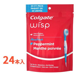 RQ[g }bNX tbV EBXv fBX|[Uu yp[~g ĝ ~j uV 24{ t gx g s ItBX o f^PAyColgate Max Fresh Wisp