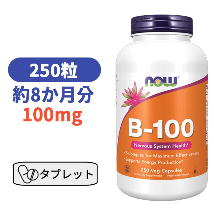 ビタミンB群10種類 ビタミン B-100 250粒 ナウフーズ ビタミンB群 ベースサプリ サプリメント びたみん B 適切な価格