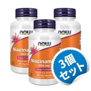 y3ZbgziCAVA~h 500mg 100 r^~ r^~B B3 iCAV Tvg Tv iE iEt[Y yNow Foods Niacinamide 500mgz