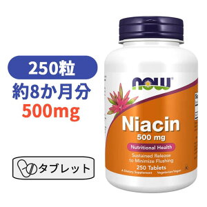 �i�C�A�V�� 500mg 250�^�u���b�g �i�E�t�[�Y �r�^�~��B �T�v�� �T�v������ �K�{�r�^�~�������D�� �����^���P�A�yNow Foods�@Niacin 250 Tabs 500 mg�z