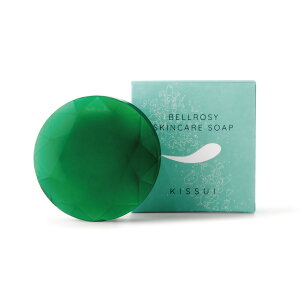 KISSUIyBRXLPA\[vzƂ􂢏オ