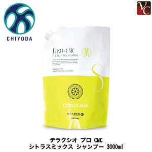 yő300~N[|zy3,980~`zy13܂Łzcw fNVI v CMC VgX~bNX Vv[ 3000ml se mVR Vv[ eꔄ Tꔄ