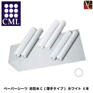 yő300~N[|zyzCML GXe֘A y[p[V[c hC (^Cv) zCg 4{sƖp GXepi GXe y[p[V[ct