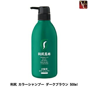 白髪染めシャンプーの通販 価格比較 価格 Com