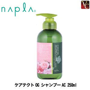 yő300~N[|zy3,980~`zy13܂Łzw×2x iv PAeNgOG Vv[AC 250ml sGCWOPA Vv[ eꔄ Tꔄi shampoot