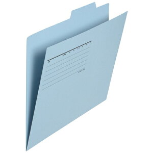 vX ʃtH_[GRm~[ 10 A4 FL-081IF 87-412 Cu[