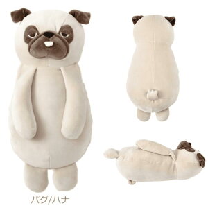 yIzAj}Y wc{NbV | 킢 ʂ }bT[W