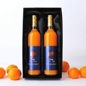 yzB݂100̃Xg[gW[XI Premium Taste uetomo v~AeCXg ݂W[X 500ml×2{Zbg