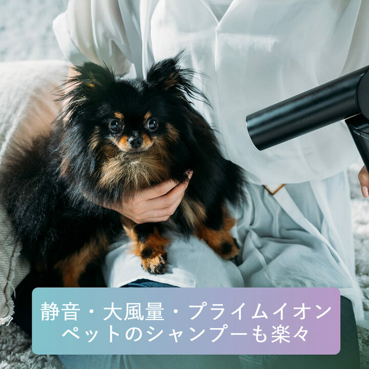 楽天市場】【選択】cadre hair dryer カドレ ヘアードライヤー 