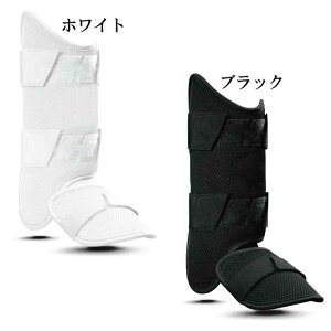 G{V[h 싅 veN^[ bOK[hG{V[h bOK[h (Z싅Ή)19FW(WTV12JP)