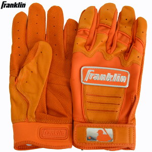 tN FRANKLIN obeBOO[u(p) CFX CHROME싅 obeBO  obe 22SS(20604)
