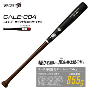 aJB o[`ލdؐobg (Gale) QC싅 y(wd Z wЉl) 22FW(GALE004)