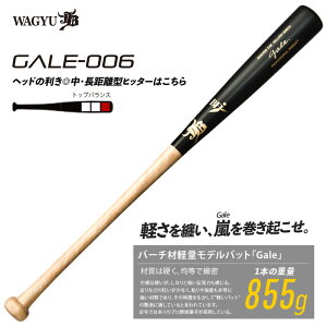 aJB o[`ލdؐobg (Gale) QC 싅 y (wd Z wЉl ) 22FW(GALE006)
