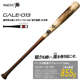 和牛JB バーチ材硬式木製バット (Gale) ゲイル野球 軽量 (中学硬式 高校 大学社会人 ) 22FW(GALE013)