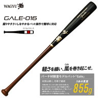 和牛JB バーチ材硬式木製バット (Gale) ゲイル 野球 軽量 (中学硬式 高校 大学社会人 ) 22FW(GALE016)