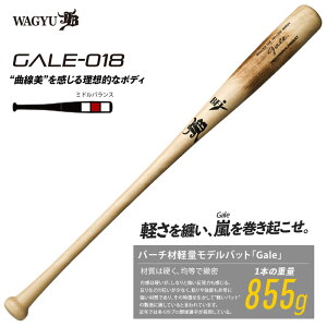 aJB o[`ލdؐobg (Gale) QC 싅 y (wd Z wЉl) 22FW(GALE018)