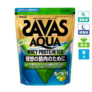 UoX SAVASANAzGCveC100 O[vt[c obO800g Tvg {fB[J[ AX[g veC(CA1327 2631687)@