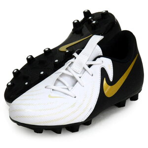 iCL NIKE iCL WjA t@g GX II AJf~[ HG WjA TbJ[XpCNV[Y 24SP(FJ2602-100)