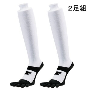 GXGXPC SSK 2g5{w\bNX(J[^Cv) 싅 XgbLO \bNX K  ubN 24SS(YA2327W/YA2329W)