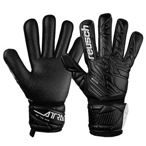 CV reuschAgNg WXgTbJ[ S[L[p[O[u 25SS(5560615-7700)