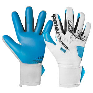 CV reuschAgNg t[Q ANATbJ[ S[L[p[O[u 25SS(5570439-1126)