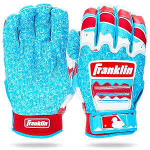 tN FRANKLIN CFX v WG Cxg 2025N74 obeBOO[u(p) 싅 obeBO  obe  v W[ 25SS(20371)