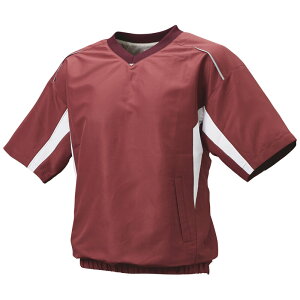 SSK(GXGXPC)VlbNbVvW싅EFAOhR[gBWP2410H