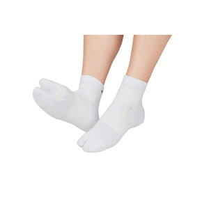 fB[AhG D&Mo[{[\bNXA[`Obvo[{[T|[^[(D-500)