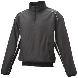 SSK(GXGXPC)~Mn[tZIPȃvW싅EFAOhR[gBWP2400