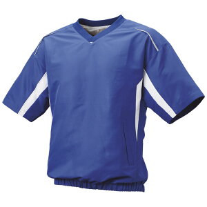 SSK(GXGXPC)VlbNbVvW싅EFAOhR[gBWP2410H