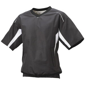 SSK(GXGXPC)VlbNbVvW싅EFAOhR[gBWP2410H