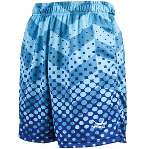 Yasaka(TJ)hbgOfV[c싅EGA(j)(Y-147)