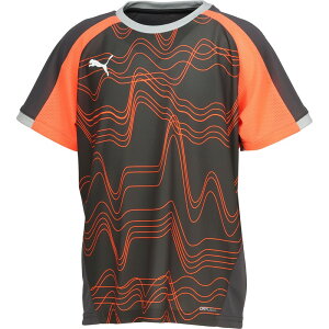 puma(v[})INDIVIDUALLIGA OtBbNTbJ[vNeBXVcJR(660185-10)