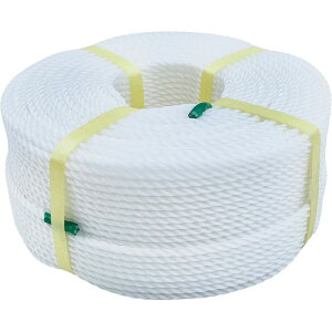 KANEYA JlPE[v6×200wZ̈ ObY̑(kr1016-wt)