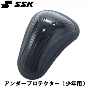 GXGXPC SSKA_[veN^[(Np)t@[Jbv Jbv15SS(UDP50J)