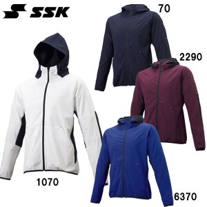 GXGXPC SSK tZIP {fBOp[J[ 싅pi (BWP2001)
