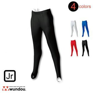 EhE wundoujq̑pcO P450 110`150TCY n