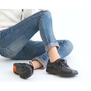 ATqV[Y AsahifBJEH[NLF ubN(KV77074)