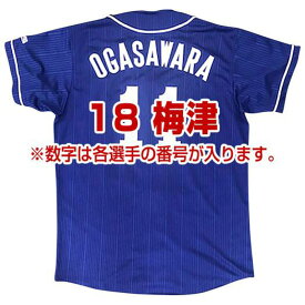 ミズノ MIZUNODragonsレプリカユニフォーム(ビジター/番号/個人名有り)野球 球団グッズ 中日ドラゴンズ(12JRMD33)