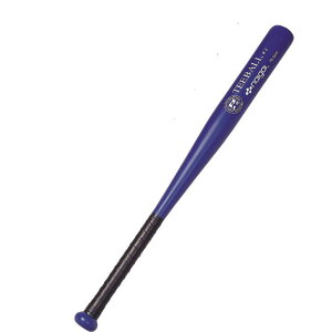 iCKC NAIGAIeB[{[ 31C`{ݔi(138180)