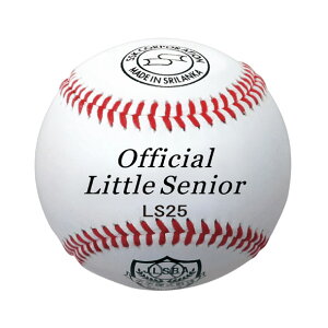 GXGXPC SSKgEVjA[O(Љl w Z g VjA)(LS25)