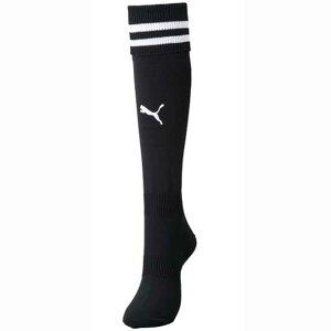 v[} PUMACC XgbLO(729881)