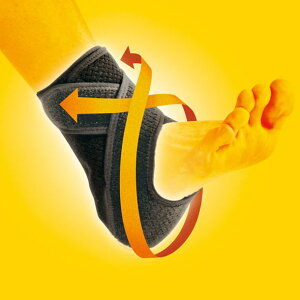 fB[AhG DMAXfBT|[^[ VbJVI[v^Cv T|[^[(108663)