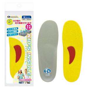 AV} ASHIMARUAV} LbYC\[C\[(CH100)