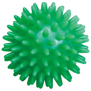 HATAS(n^)Zs[{[g[jO@ p[\ig[jOpi ̑p[\ig[jOpi(TCE301)